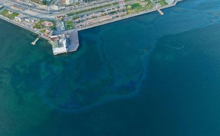 İzmir Körfezi'nde atık döktüler