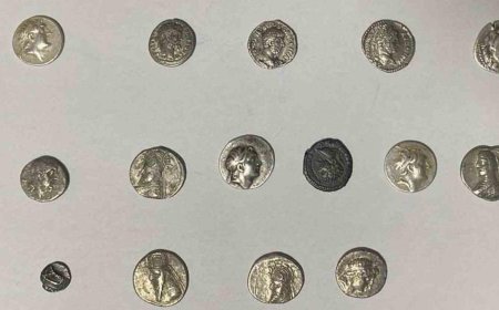 Hatay’da 26 sikke kargo ile göndermek üzereyken ele geçirildi