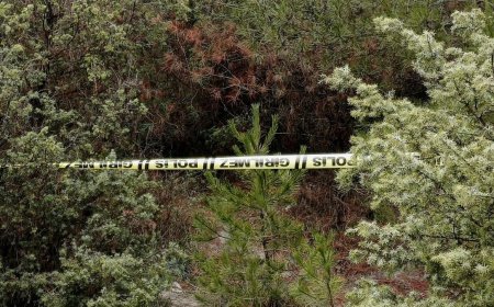 Yer: Karabük! Kendisinden haber alınamayan kişi ormanlık alanda ölü bulundu