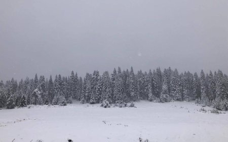Sinop'un yüksek kesimleri beyaza büründü
