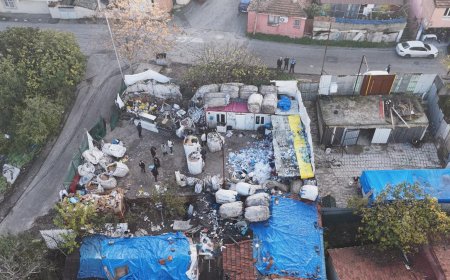 Ataşehir'de kaçak at kesimi iddiası! Depoya baskın yapıldı