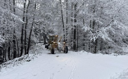 Artvin'de kar etkili oldu