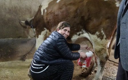 8 erkeği geride bırakan kadın muhtar. Hem çalışıyor hem mahalleyi yönetiyor