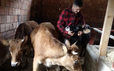 Almanya'dan memleketine geldi, kendi topraklarını işlemeyi seçti