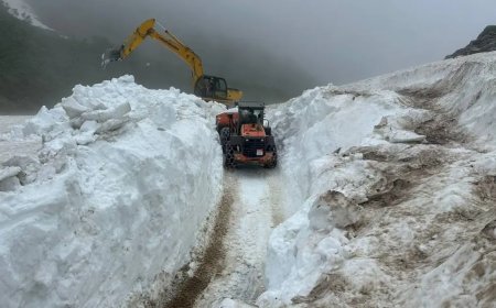 Doğu Anadolu'da yağan kar 5 ili etkisi altına aldı