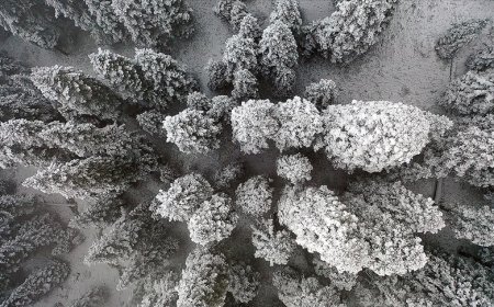 Ilgaz Dağı'nda kar ve sis etkili oldu